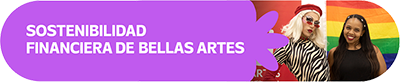 sostenibilidad financiera de bellas artes